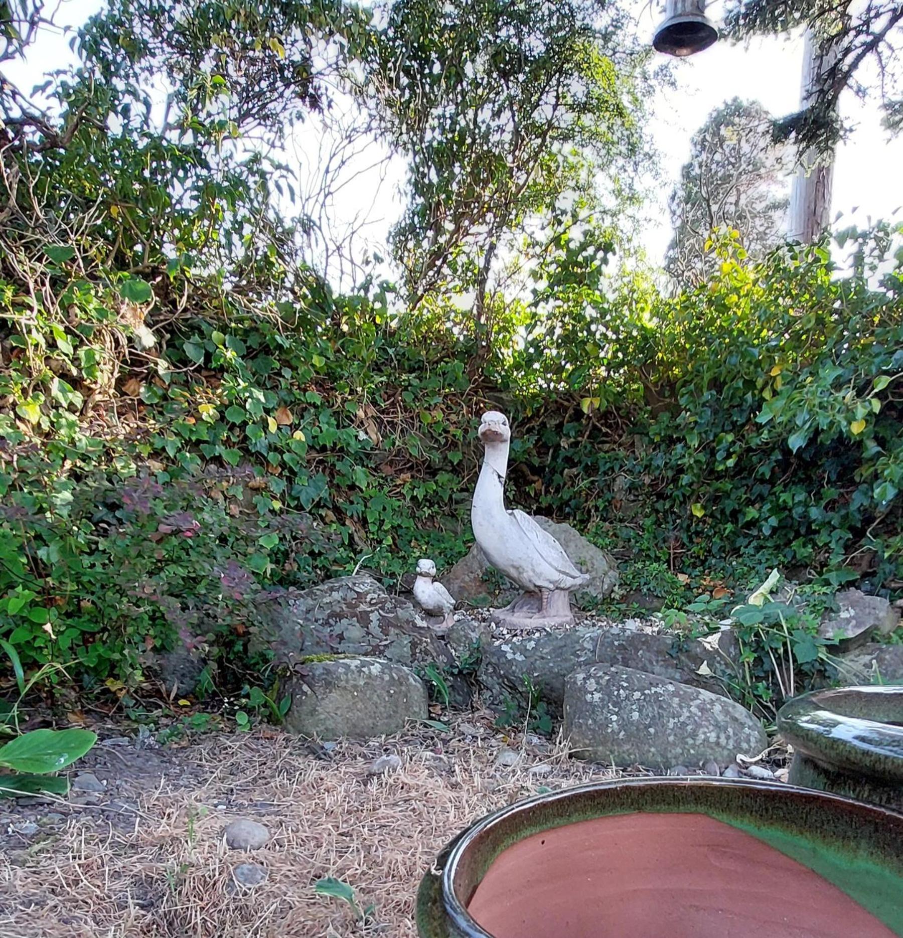 Glyn Isa Country House B&B And Self Catering Apartments Conwy Dış mekan fotoğraf